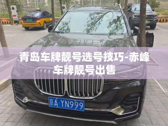 青岛车牌靓号选号技巧-赤峰车牌靓号出售-第4张图片-七号汽车选号