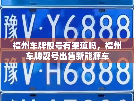 福州车牌靓号有渠道吗,福州车牌靓号出售新能源车-第2张图片-七号汽车选号 福州车牌靓号有渠道吗,福州车牌靓号出售新能源车-第2张图片-七号汽车选号