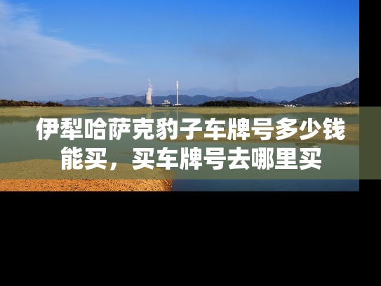 伊犁哈萨克豹子车牌号多少钱能买，买车牌号去哪里买