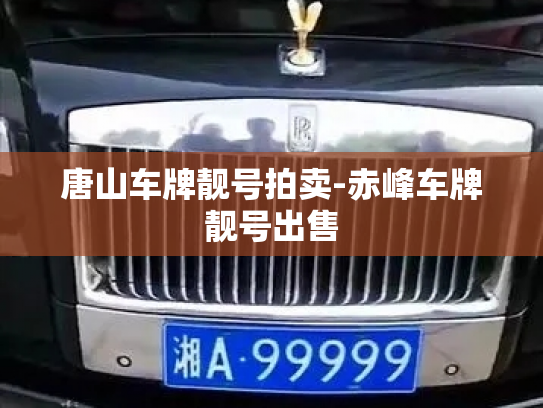 唐山车牌靓号拍卖-赤峰车牌靓号出售-第3张图片-七号汽车选号