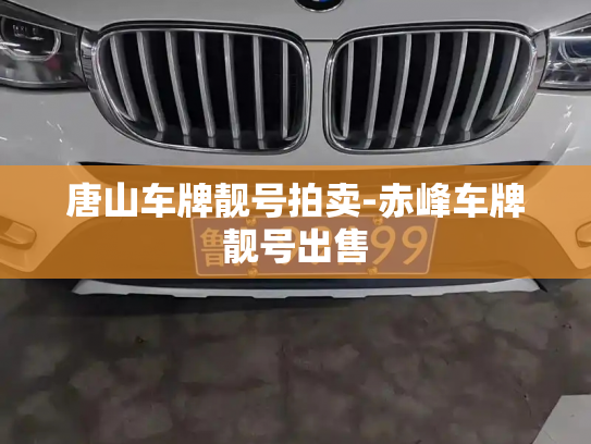 唐山车牌靓号拍卖-赤峰车牌靓号出售-第4张图片-七号汽车选号