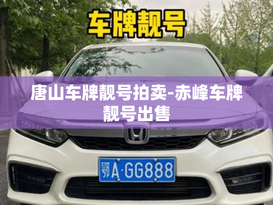 唐山车牌靓号拍卖-赤峰车牌靓号出售-第2张图片-七号汽车选号