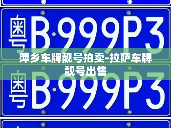 萍乡车牌靓号拍卖-拉萨车牌靓号出售-第4张图片-七号汽车选号 萍乡车牌靓号拍卖-拉萨车牌靓号出售-第4张图片-七号汽车选号