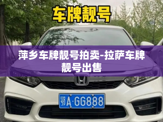 萍乡车牌靓号拍卖-拉萨车牌靓号出售-第2张图片-七号汽车选号 萍乡车牌靓号拍卖-拉萨车牌靓号出售-第2张图片-七号汽车选号