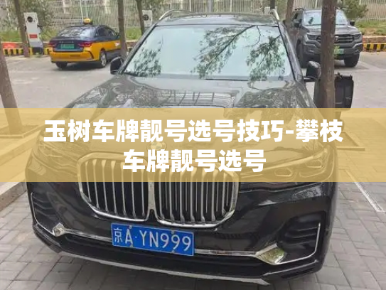 玉树车牌靓号选号技巧-攀枝车牌靓号选号-第3张图片-七号汽车选号 玉树车牌靓号选号技巧-攀枝车牌靓号选号-第3张图片-七号汽车选号
