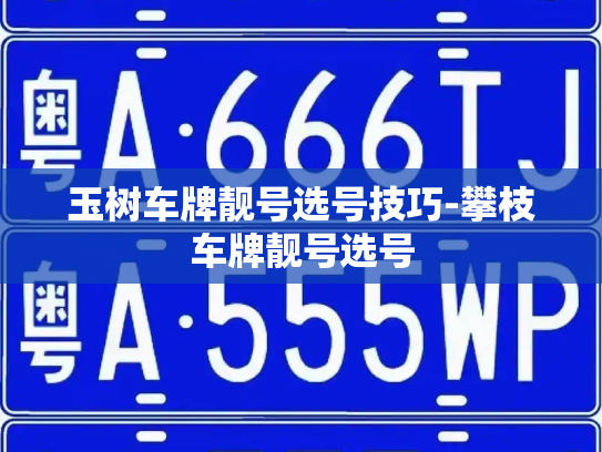 玉树车牌靓号选号技巧-攀枝车牌靓号选号-第2张图片-七号汽车选号 玉树车牌靓号选号技巧-攀枝车牌靓号选号-第2张图片-七号汽车选号