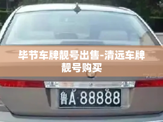 毕节车牌靓号出售-清远车牌靓号购买-第3张图片-七号汽车选号 毕节车牌靓号出售-清远车牌靓号购买-第3张图片-七号汽车选号