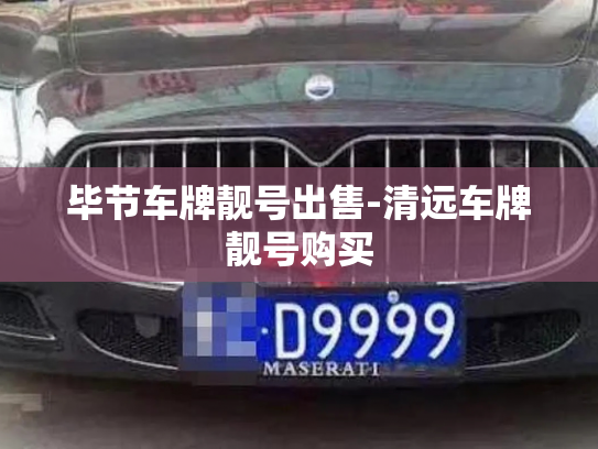 毕节车牌靓号出售-清远车牌靓号购买-第4张图片-七号汽车选号 毕节车牌靓号出售-清远车牌靓号购买-第4张图片-七号汽车选号