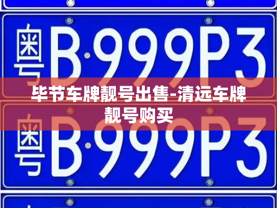 毕节车牌靓号出售-清远车牌靓号购买-第2张图片-七号汽车选号 毕节车牌靓号出售-清远车牌靓号购买-第2张图片-七号汽车选号