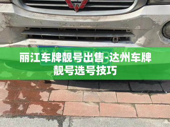 丽江车牌靓号出售-达州车牌靓号选号技巧-第3张图片-七号汽车选号 丽江车牌靓号出售-达州车牌靓号选号技巧-第3张图片-七号汽车选号