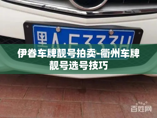 伊眷车牌靓号拍卖-衢州车牌靓号选号技巧-第3张图片-七号汽车选号 伊眷车牌靓号拍卖-衢州车牌靓号选号技巧-第3张图片-七号汽车选号
