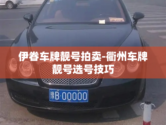 伊眷车牌靓号拍卖-衢州车牌靓号选号技巧-第4张图片-七号汽车选号 伊眷车牌靓号拍卖-衢州车牌靓号选号技巧-第4张图片-七号汽车选号