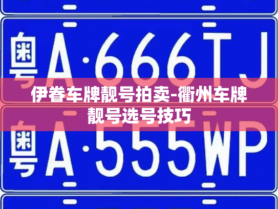 伊眷车牌靓号拍卖-衢州车牌靓号选号技巧-第2张图片-七号汽车选号 伊眷车牌靓号拍卖-衢州车牌靓号选号技巧-第2张图片-七号汽车选号