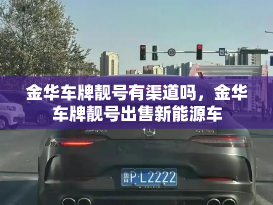 金华车牌靓号有渠道吗，金华车牌靓号出售新能源车-第2张图片-七号汽车选号