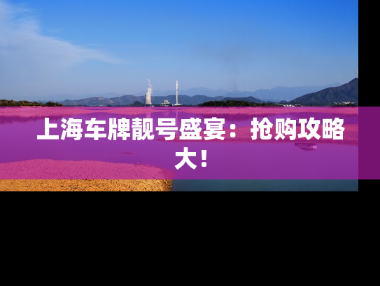 上海车牌靓号盛宴：抢购攻略大！