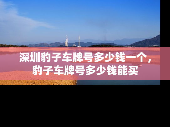 深圳豹子车牌号多少钱一个，豹子车牌号多少钱能买