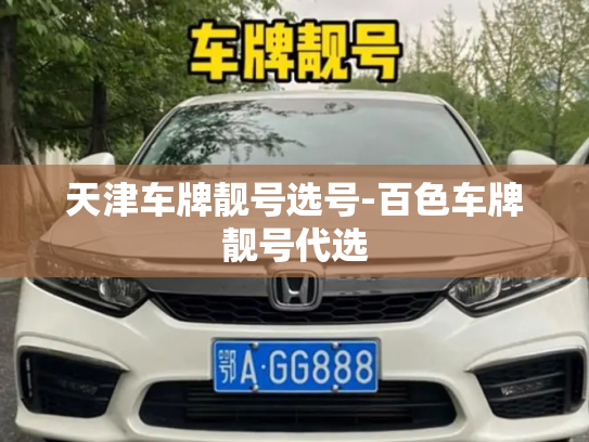 天津车牌靓号选号-百色车牌靓号代选-第3张图片-七号汽车选号