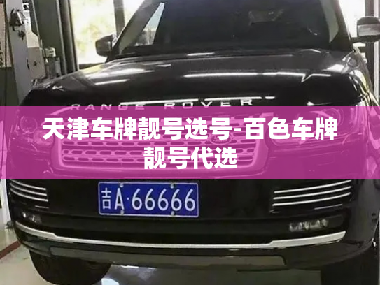 天津车牌靓号选号-百色车牌靓号代选-第2张图片-七号汽车选号