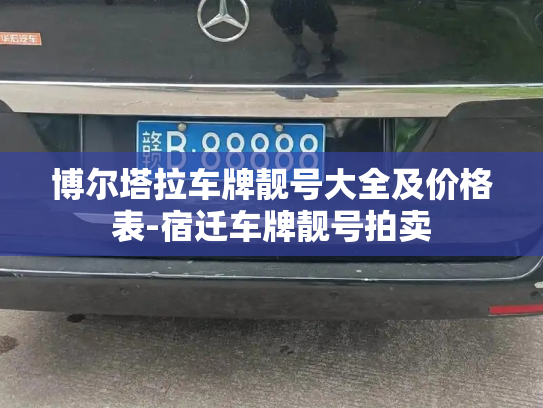 博尔塔拉车牌靓号大全及价格表-宿迁车牌靓号拍卖-第2张图片-七号汽车选号 博尔塔拉车牌靓号大全及价格表-宿迁车牌靓号拍卖-第2张图片-七号汽车选号