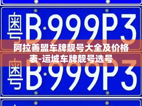 阿拉善盟车牌靓号大全及价格表-运城车牌靓号选号-第3张图片-七号汽车选号