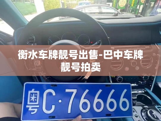 衡水车牌靓号出售-巴中车牌靓号拍卖-第3张图片-七号汽车选号