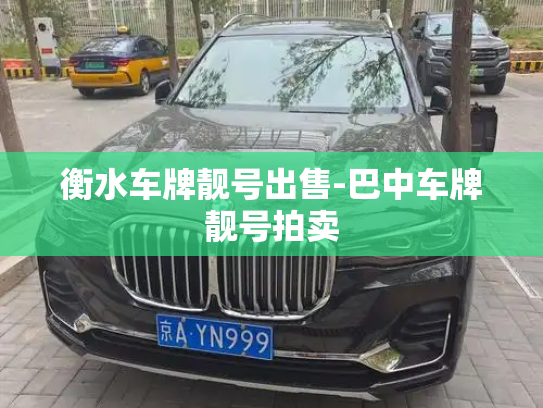 衡水车牌靓号出售-巴中车牌靓号拍卖-第2张图片-七号汽车选号