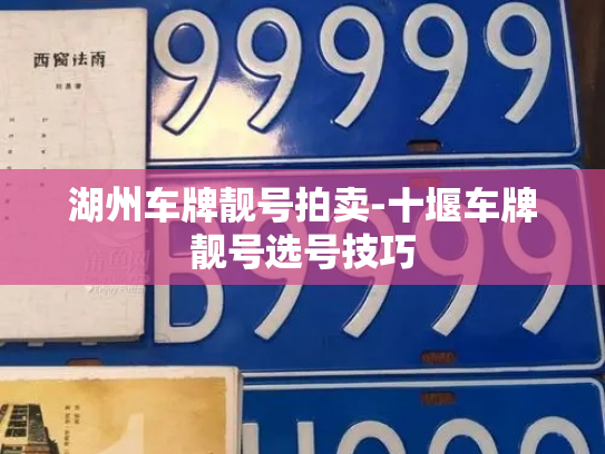 湖州车牌靓号拍卖-十堰车牌靓号选号技巧-第2张图片-七号汽车选号 湖州车牌靓号拍卖-十堰车牌靓号选号技巧-第2张图片-七号汽车选号