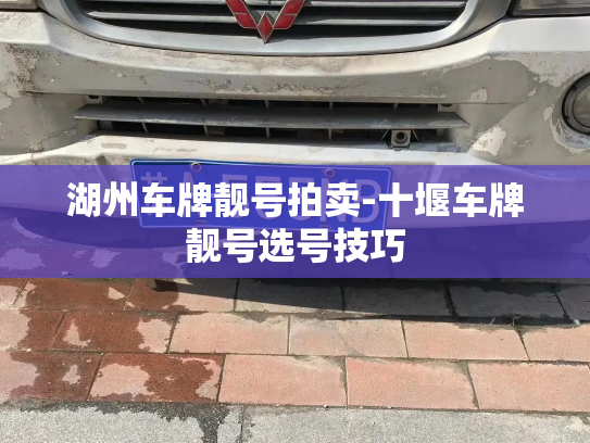 湖州车牌靓号拍卖-十堰车牌靓号选号技巧-第3张图片-七号汽车选号 湖州车牌靓号拍卖-十堰车牌靓号选号技巧-第3张图片-七号汽车选号