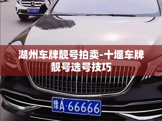 湖州车牌靓号拍卖-十堰车牌靓号选号技巧