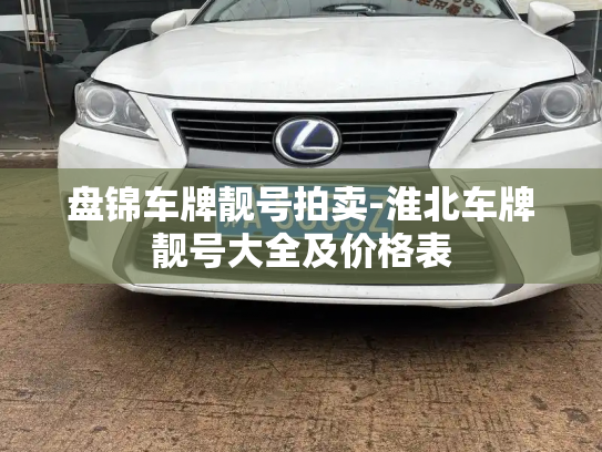 盘锦车牌靓号拍卖-淮北车牌靓号大全及价格表-第3张图片-七号汽车选号