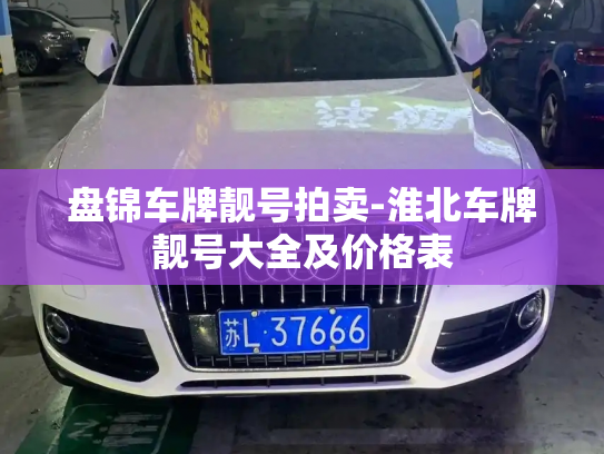 盘锦车牌靓号拍卖-淮北车牌靓号大全及价格表-第4张图片-七号汽车选号