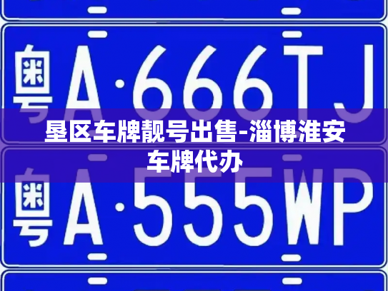 垦区车牌靓号出售-淄博淮安车牌代办-第4张图片-七号汽车选号 垦区车牌靓号出售-淄博淮安车牌代办-第4张图片-七号汽车选号