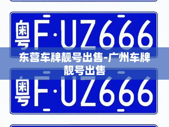东营车牌靓号出售-广州车牌靓号出售-第3张图片-七号汽车选号 东营车牌靓号出售-广州车牌靓号出售-第3张图片-七号汽车选号
