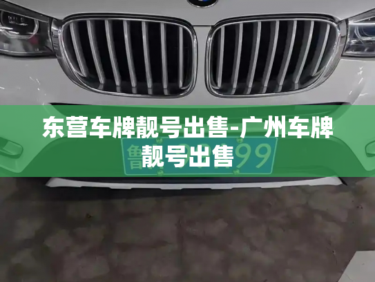 东营车牌靓号出售-广州车牌靓号出售-第4张图片-七号汽车选号 东营车牌靓号出售-广州车牌靓号出售-第4张图片-七号汽车选号