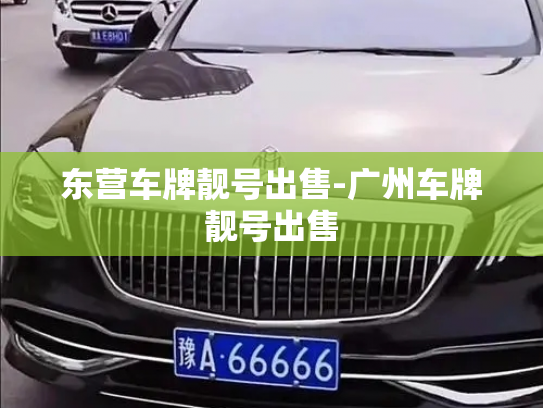 东营车牌靓号出售-广州车牌靓号出售-第2张图片-七号汽车选号 东营车牌靓号出售-广州车牌靓号出售-第2张图片-七号汽车选号