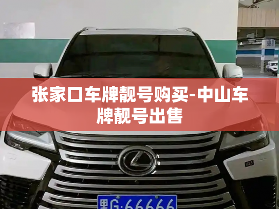 张家口车牌靓号购买-中山车牌靓号出售-第3张图片-七号汽车选号 张家口车牌靓号购买-中山车牌靓号出售-第3张图片-七号汽车选号