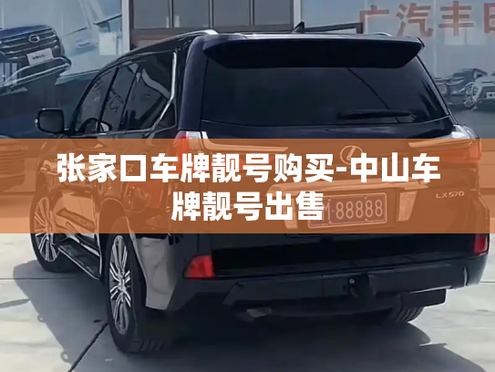 张家口车牌靓号购买-中山车牌靓号出售-第2张图片-七号汽车选号 张家口车牌靓号购买-中山车牌靓号出售-第2张图片-七号汽车选号