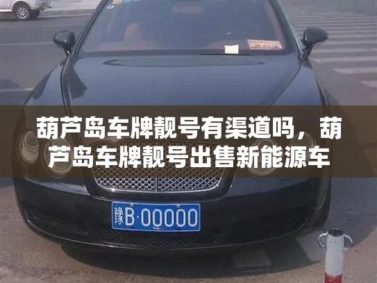 葫芦岛车牌靓号有渠道吗，葫芦岛车牌靓号出售新能源车-第2张图片-七号汽车选号