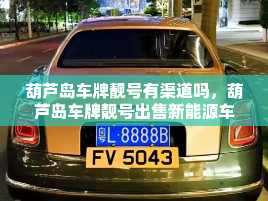 葫芦岛车牌靓号有渠道吗，葫芦岛车牌靓号出售新能源车-第3张图片-七号汽车选号