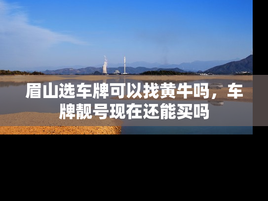 眉山选车牌可以找黄牛吗，车牌靓号现在还能买吗