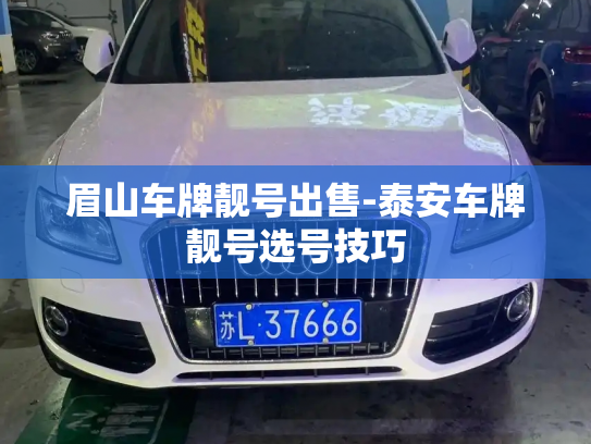 眉山车牌靓号出售-泰安车牌靓号选号技巧-第3张图片-七号汽车选号
