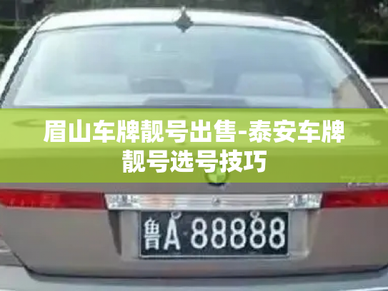 眉山车牌靓号出售-泰安车牌靓号选号技巧-第4张图片-七号汽车选号