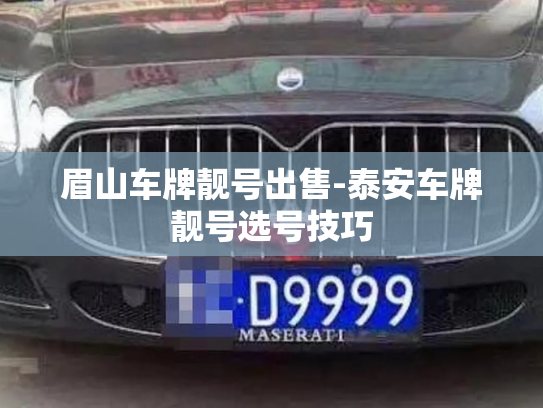 眉山车牌靓号出售-泰安车牌靓号选号技巧-第2张图片-七号汽车选号