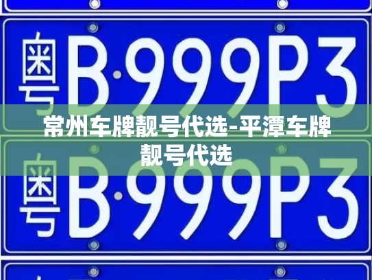 常州车牌靓号代选-平潭车牌靓号代选-第2张图片-七号汽车选号