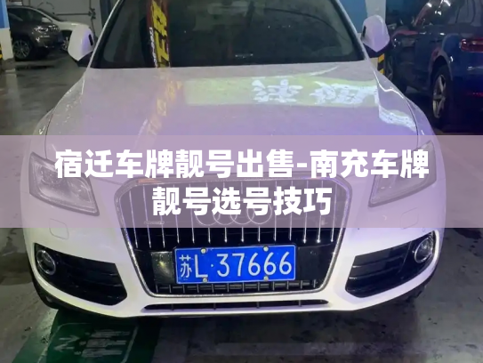 宿迁车牌靓号出售-南充车牌靓号选号技巧-第3张图片-七号汽车选号 宿迁车牌靓号出售-南充车牌靓号选号技巧-第3张图片-七号汽车选号