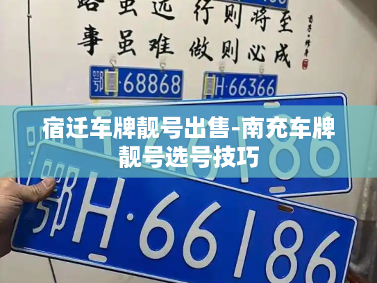 宿迁车牌靓号出售-南充车牌靓号选号技巧-第4张图片-七号汽车选号 宿迁车牌靓号出售-南充车牌靓号选号技巧-第4张图片-七号汽车选号