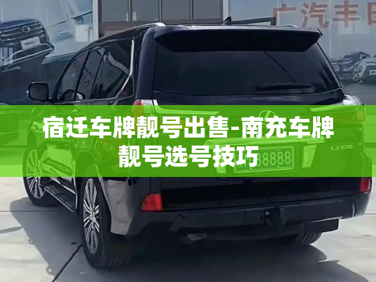 宿迁车牌靓号出售-南充车牌靓号选号技巧-第2张图片-七号汽车选号 宿迁车牌靓号出售-南充车牌靓号选号技巧-第2张图片-七号汽车选号