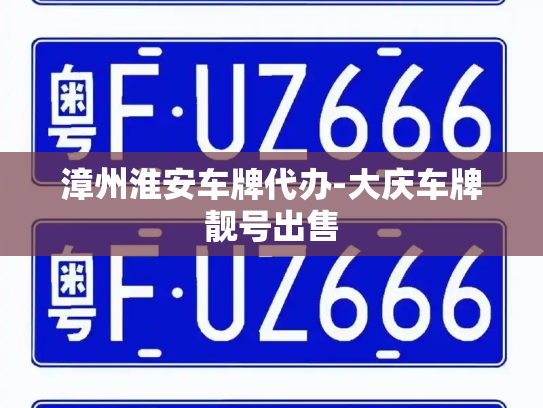 漳州淮安车牌代办-大庆车牌靓号出售-第3张图片-七号汽车选号 漳州淮安车牌代办-大庆车牌靓号出售-第3张图片-七号汽车选号