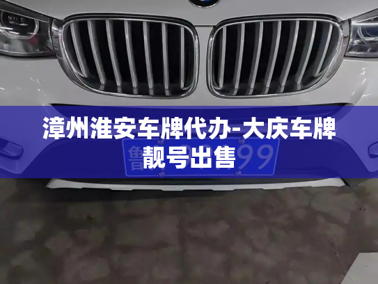 漳州淮安车牌代办-大庆车牌靓号出售-第2张图片-七号汽车选号 漳州淮安车牌代办-大庆车牌靓号出售-第2张图片-七号汽车选号