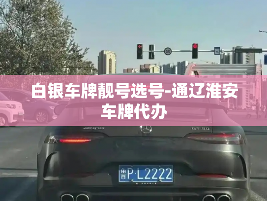白银车牌靓号选号-通辽淮安车牌代办-第4张图片-七号汽车选号 白银车牌靓号选号-通辽淮安车牌代办-第4张图片-七号汽车选号